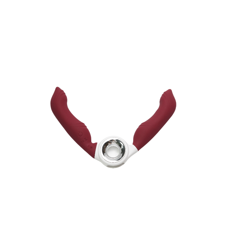 Double-head vibrator